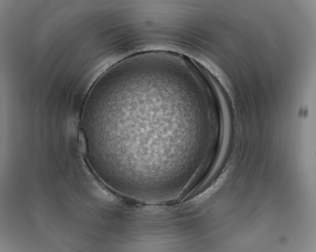 X0000091460993200708161519