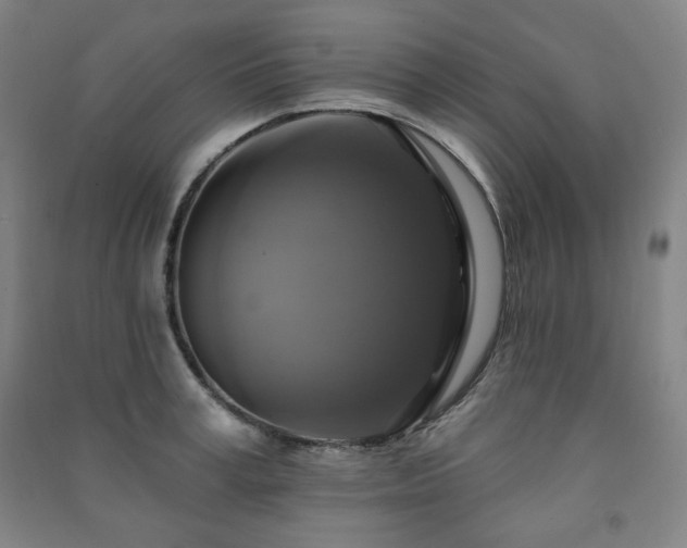 X0000091460995200708161519