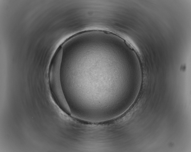 X0000091460996200708161519