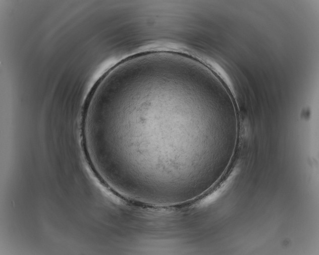 X0000091460997200708161519