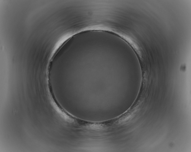 X0000091460998200708161519