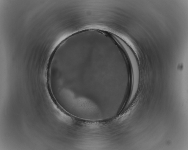 X0000091460999200708161519