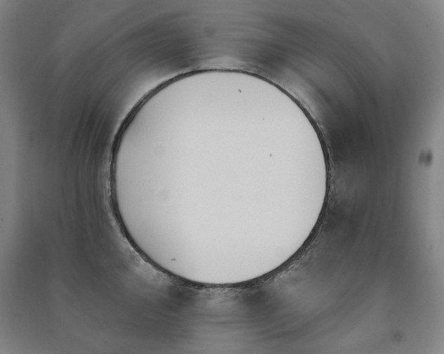 X0000091461000200708161519