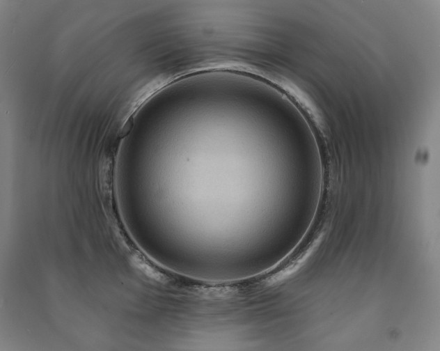 X0000091461001200708161519