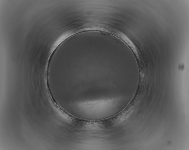 X0000091461002200708161519