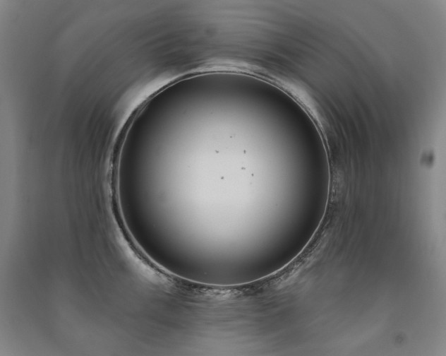 X0000091461003200708161519
