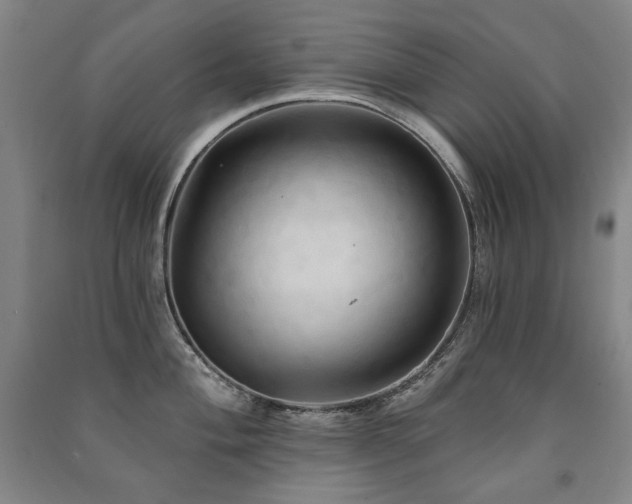 X0000091461004200708161519