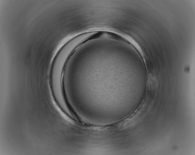 X0000091461005200708161519