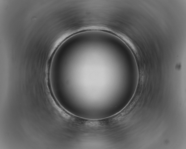 X0000091461006200708161519