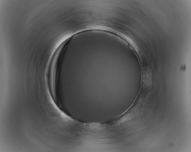 X0000091461007200708161519