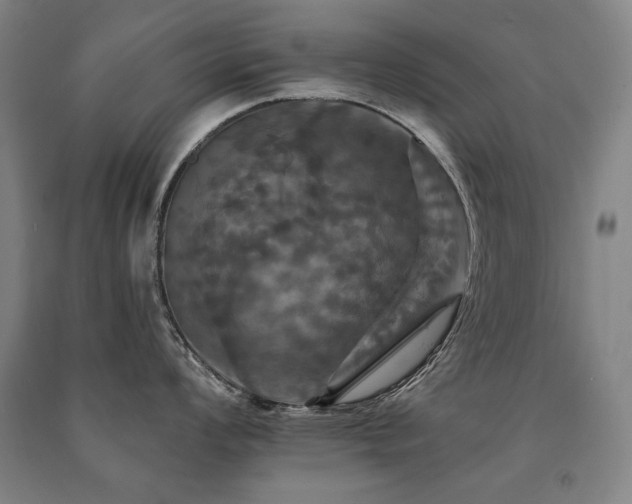 X0000091461008200708161519