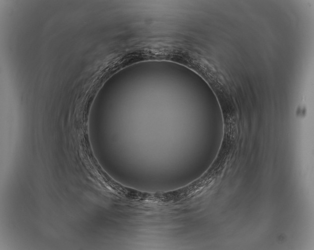 X0000091461009200708161518