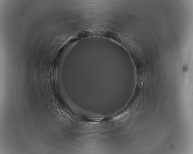 X0000091461010200708161518