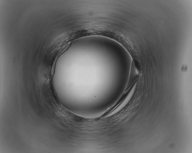 X0000091461012200708161518