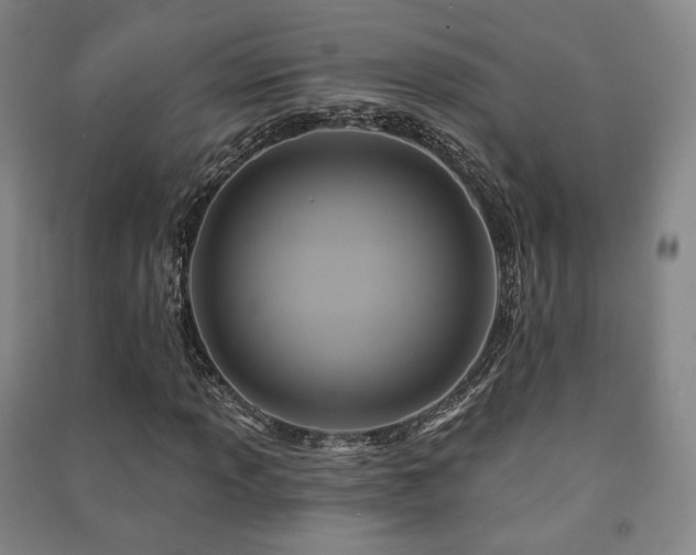 X0000091461013200708161518