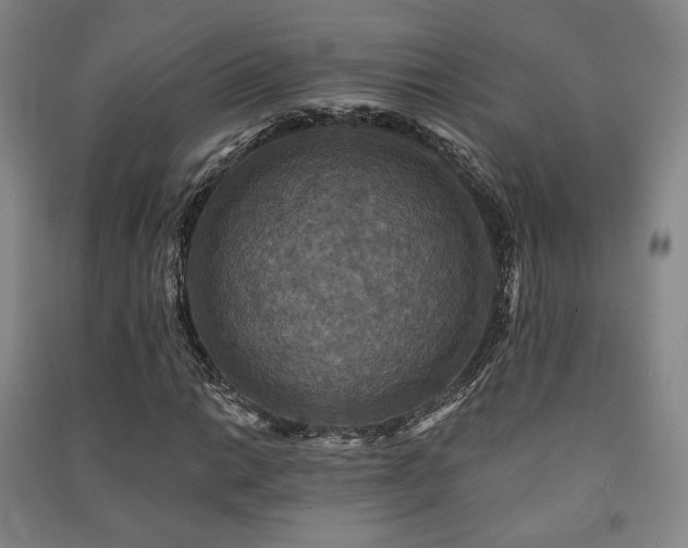 X0000091461014200708161518