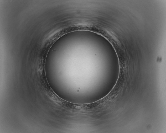 X0000091461015200708161518