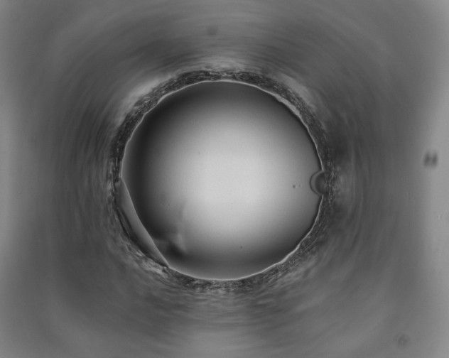 X0000091461016200708161518
