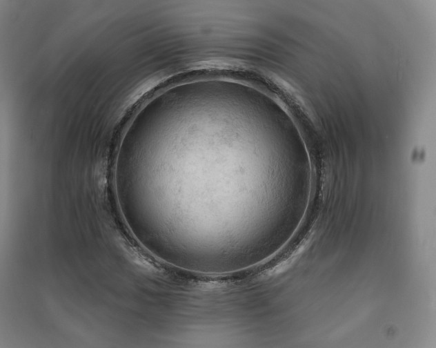 X0000091461017200708161518