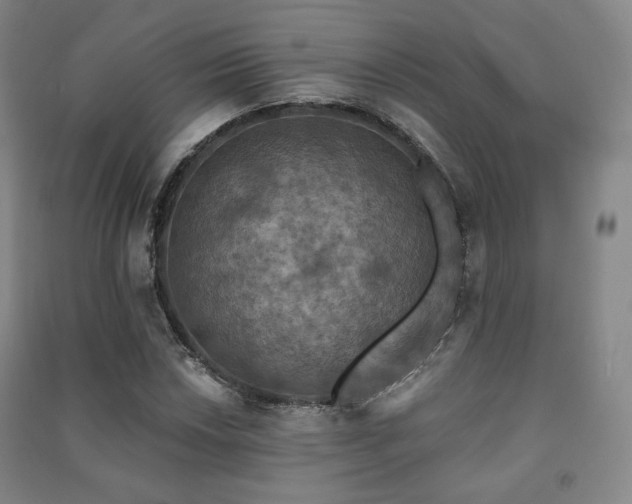 X0000091461018200708161518