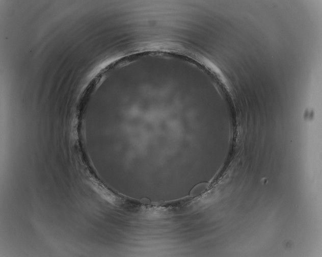 X0000091461019200708161518