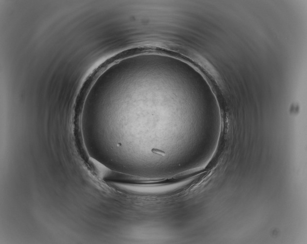 X0000091461020200708161518