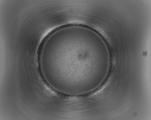 X0000091461022200708161518