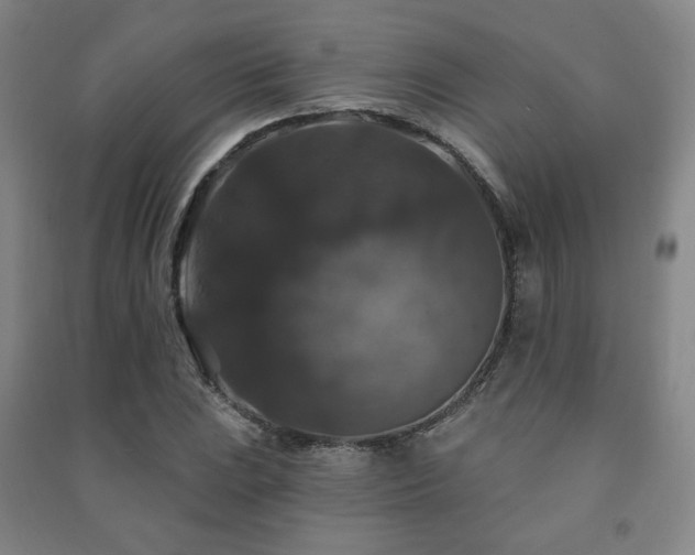 X0000091461023200708161518
