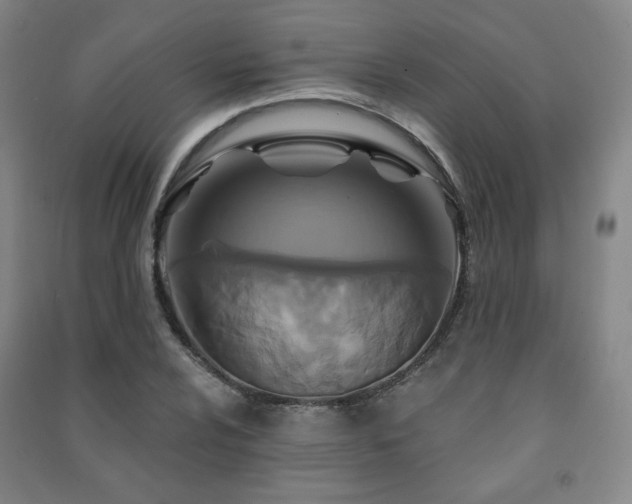 X0000091461024200708161518