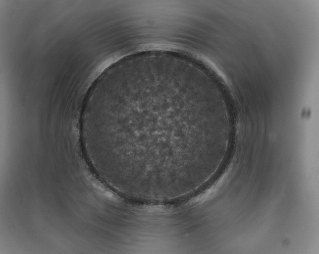 X0000091461025200708161518