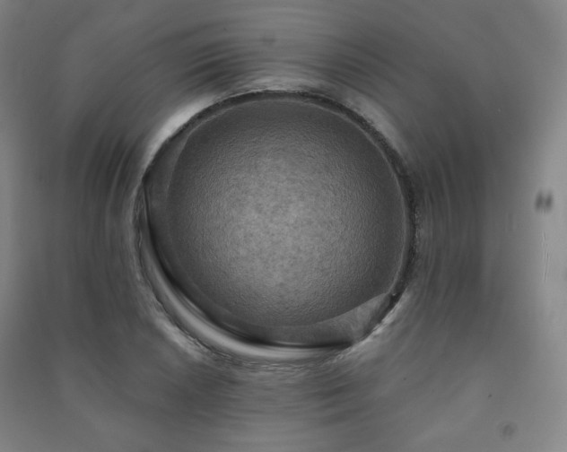 X0000091461026200708161518