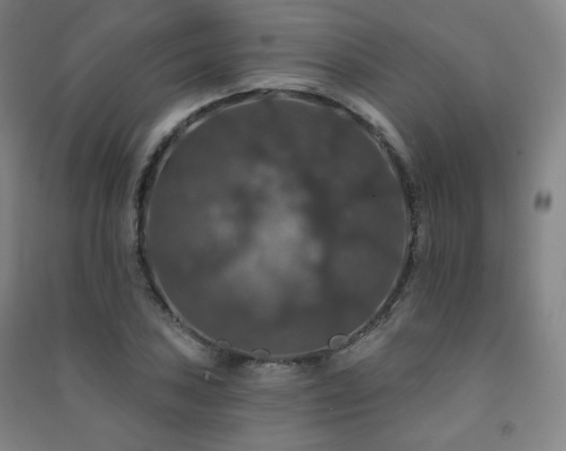 X0000091461027200708161518