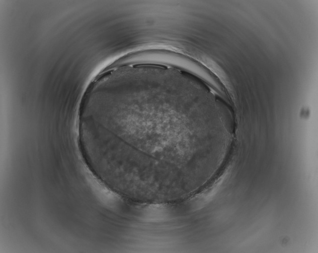 X0000091461028200708161518
