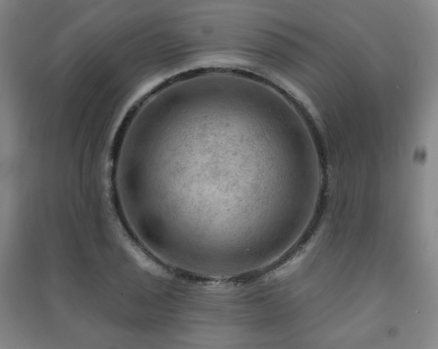 X0000091461029200708161518