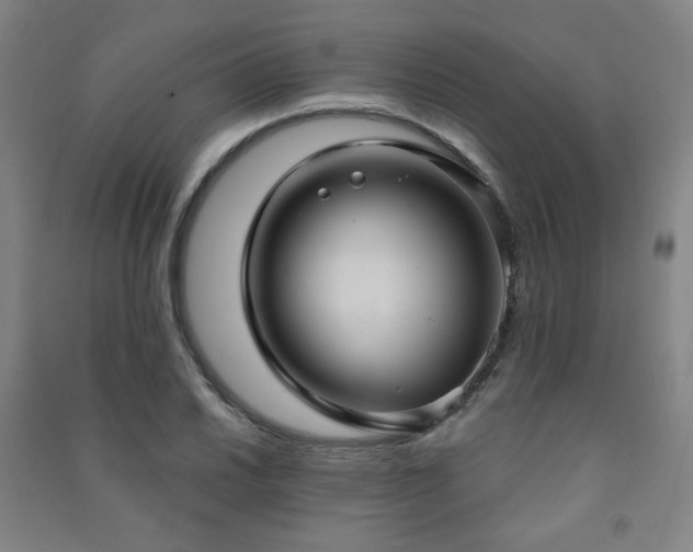 X0000091461030200708161518