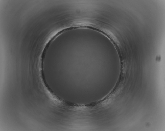 X0000091461031200708161518