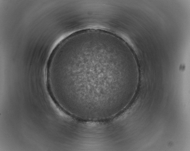 X0000091461032200708161518
