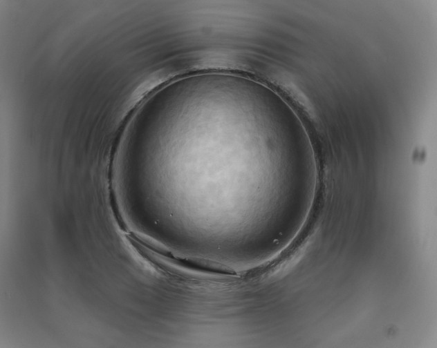X0000091461033200708161518
