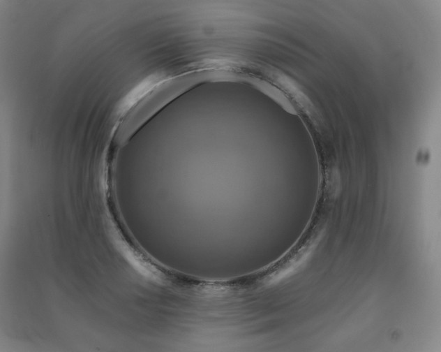 X0000091461034200708161518