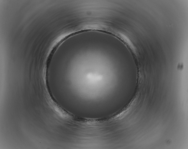 X0000091461035200708161518
