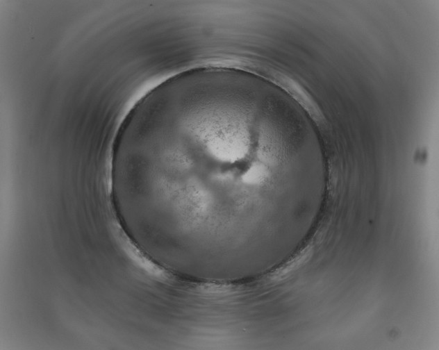 X0000091461036200708161518