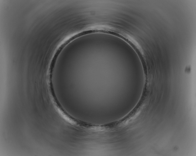 X0000091461037200708161518