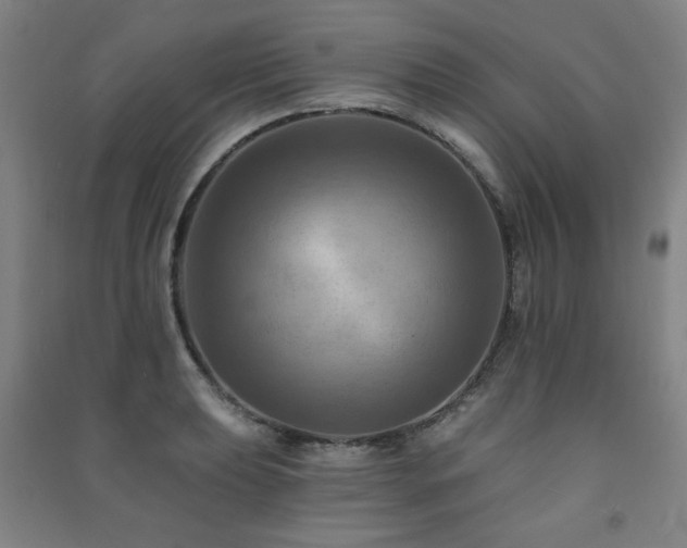 X0000091461039200708161518