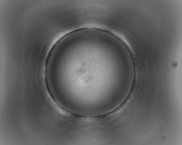 X0000091461040200708161518