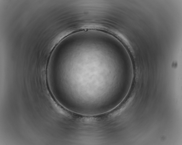 X0000091461041200708161518