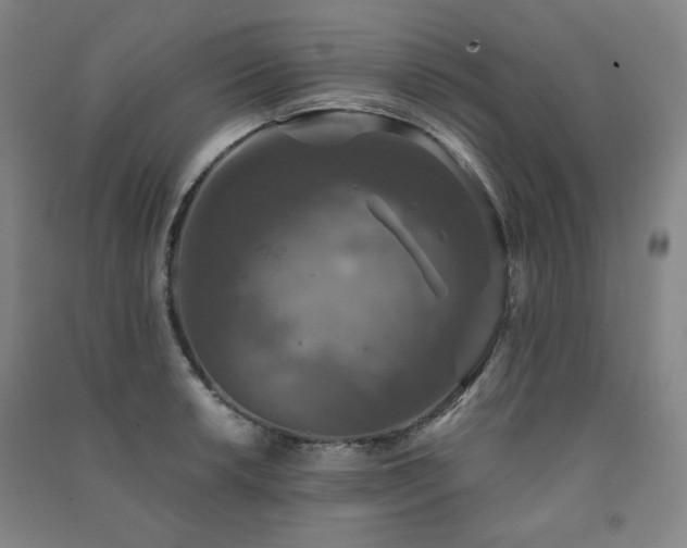 X0000091461042200708161518