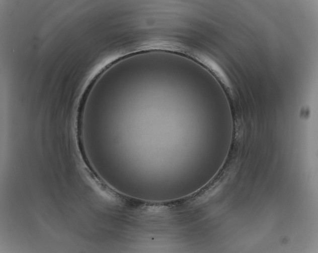 X0000091461043200708161518
