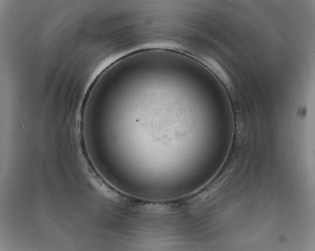 X0000091461044200708161518