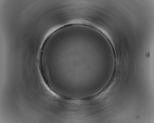 X0000091461045200708161518
