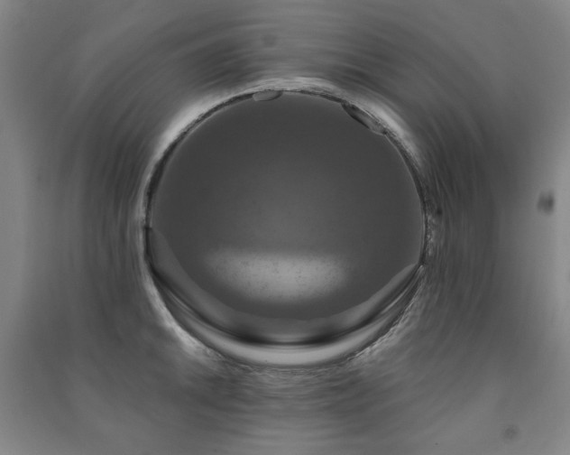 X0000091461046200708161518